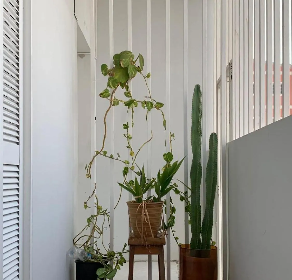 Flat Mindelo 30 Apartment